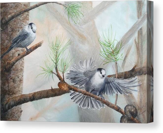 Grey Jay Canvas Print featuring the painting Grey Jays in a Jack Pine by Ruth Kamenev