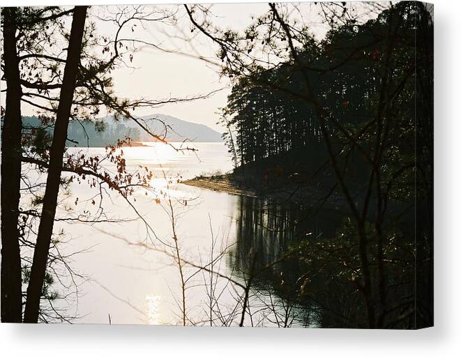 Photograph Canvas Print featuring the pyrography Haven of Trees by Kicking Bear Productions