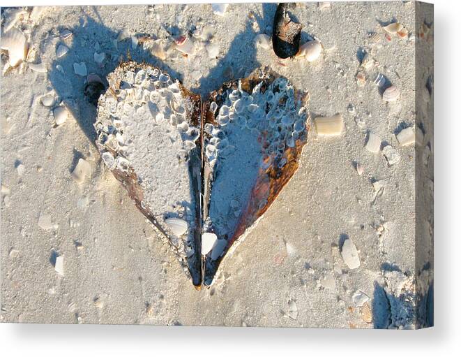 Heart Canvas Print featuring the photograph Heart on the Beach by Mike Evangelist
