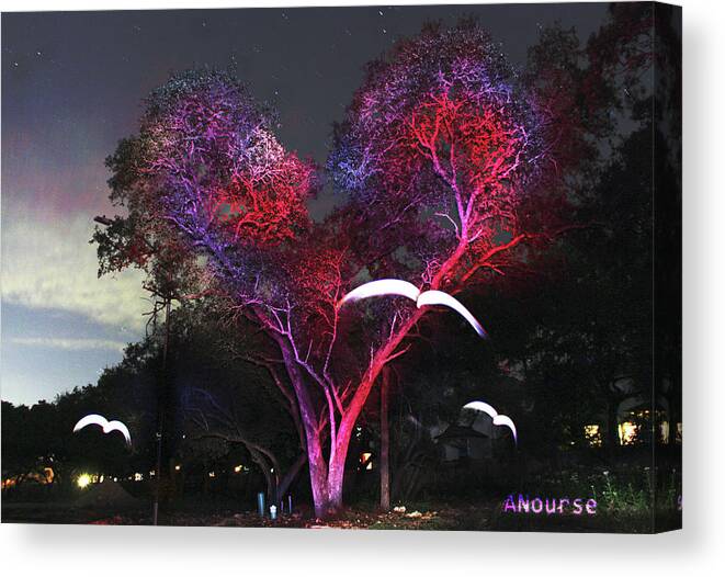 Lightpainting Canvas Print featuring the photograph Heart Tree and Birds by Andrew Nourse