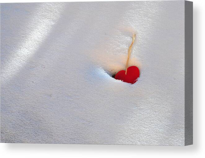 Valentine Canvas Print featuring the photograph Heart Warming by Glory Ann Penington
