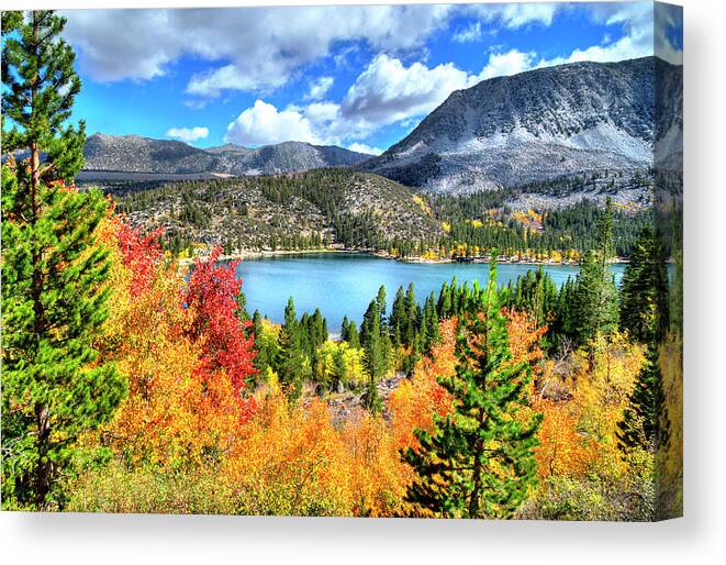 Aspen Trees Canvas Print featuring the photograph Heavenly Colors at Rock Creek Lake by Lynn Bauer