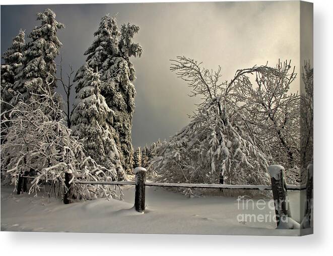 Snow Canvas Print featuring the photograph Heavy Laden by Lois Bryan