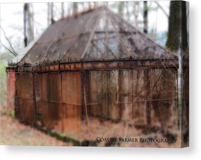 Cage Canvas Print featuring the photograph Holding Secrets by Becca Wilcox