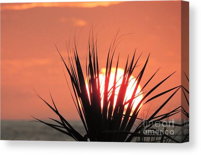 Sun Canvas Print featuring the photograph Horizon Sunrise by Jan Gelders