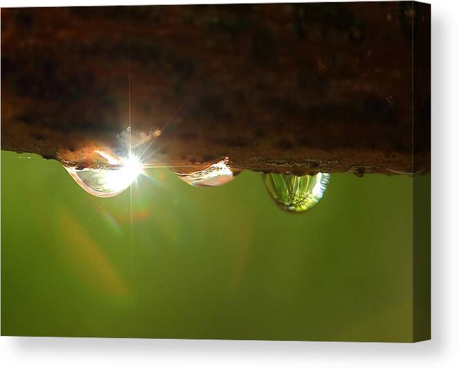 Bubbles Canvas Print featuring the photograph How Do You Write The Sound Of Pinging A Crystal Goblet by David Andersen