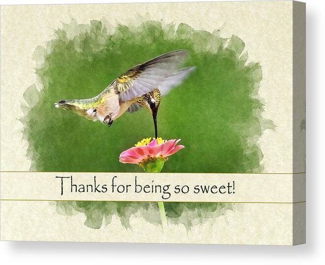 Thank You Canvas Print featuring the photograph Thank You Card Sweet Hummingbird by Christina Rollo