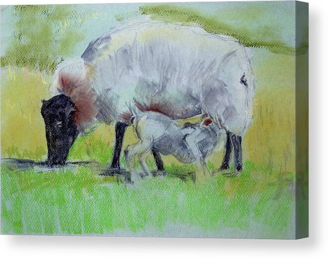  Canvas Print featuring the painting Hungry Lamb by Kathleen Barnes