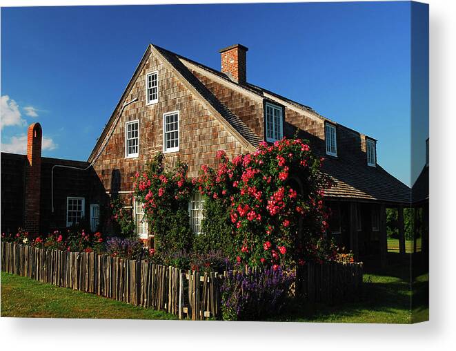 Montauk Canvas Print featuring the photograph In Bloom by James Kirkikis