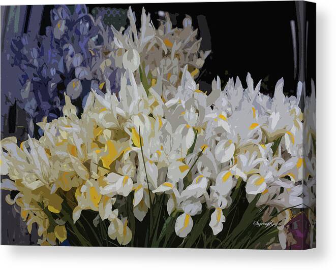 Photograph Canvas Print featuring the photograph Incredible Irises - Cutout by Suzanne Gaff