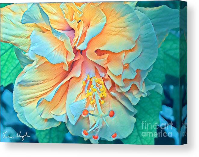 Julie-hoyle Canvas Print featuring the digital art Inner Glow by Julie Hoyle