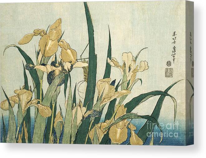 Japan Canvas Print featuring the painting Irises with a Grasshopper by Hokusai