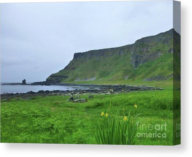 Irish Coastal Scene Canvas Print featuring the photograph Irish Coastal Scene by Barbie Corbett-Newmin