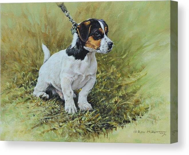 Dog Canvas Print featuring the painting Jack Russell Portrait by Alan M Hunt