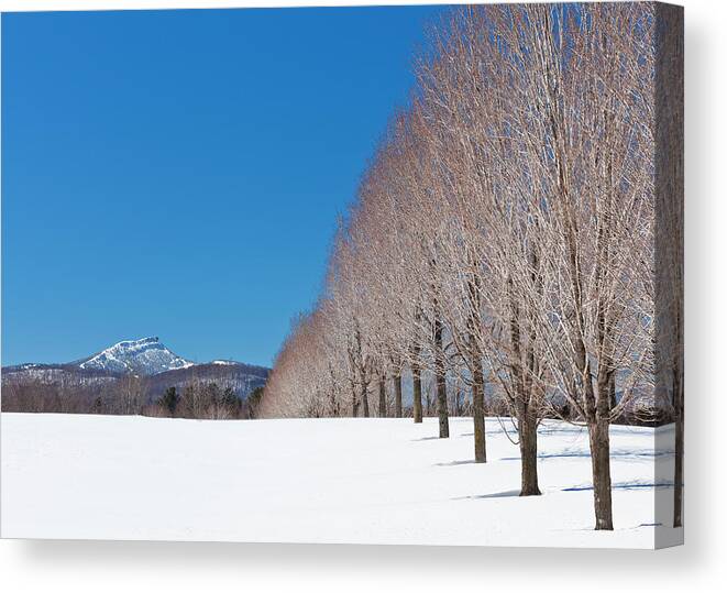 Winter Canvas Print featuring the photograph Jay Peak Winter Landscape by Alan L Graham
