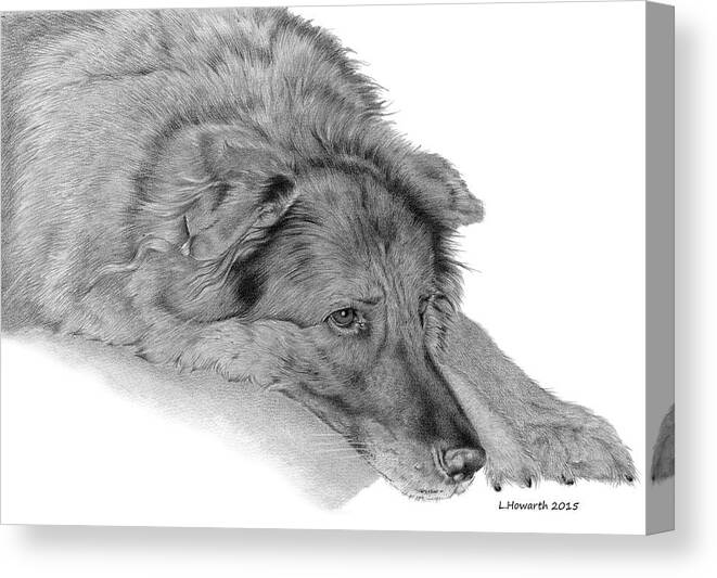 Dog Canvas Print featuring the drawing Just Another Day by Louise Howarth