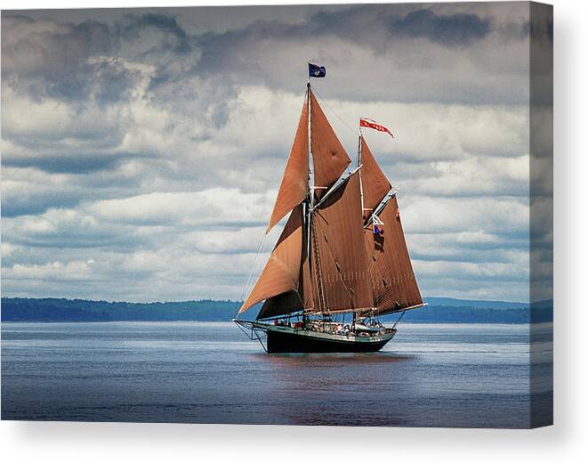Windjammer Canvas Print featuring the photograph Ketch Angelique by Fred LeBlanc