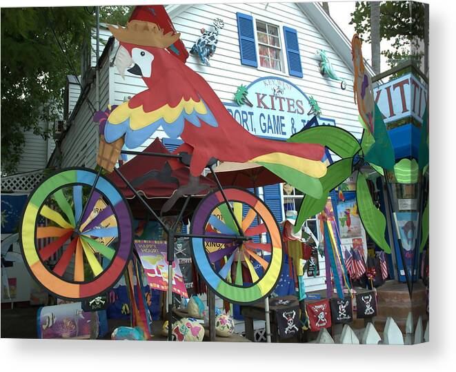 Parrot Canvas Print featuring the photograph Key West Kites by Kathi Shotwell