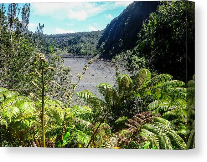 Hawaii Canvas Print featuring the photograph Kilauea Iki View by Pamela Newcomb