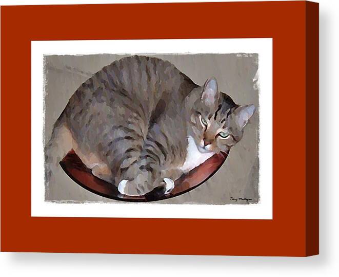 Kitty Canvas Print featuring the digital art Kitty in a Bowl by Terry Mulligan