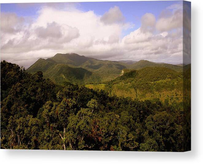 Hills Canvas Print featuring the photograph Kuranda Queensland by Tony Brown