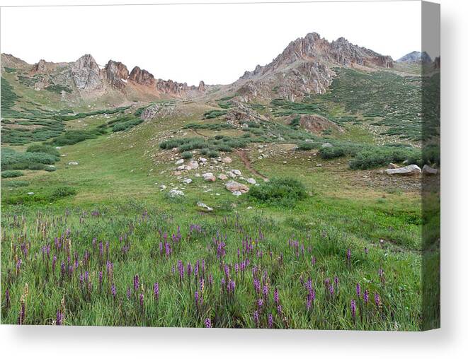 La Plata Canvas Print featuring the photograph La Plata Peak by Cascade Colors