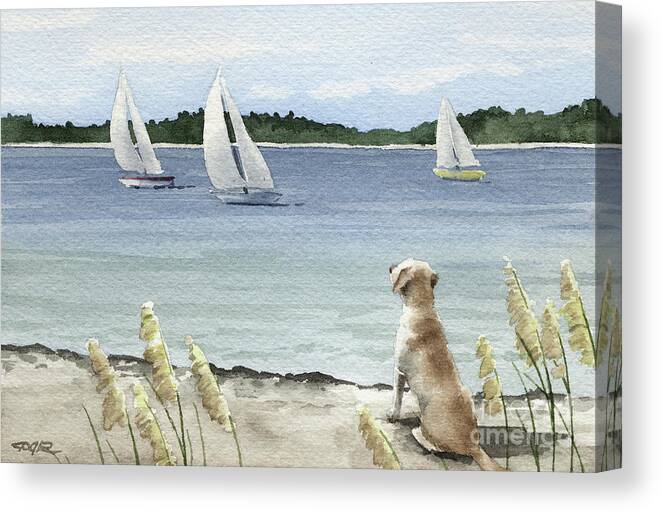 Labrador Canvas Print featuring the painting Labrador Retriever Watching the Sailboats by David Rogers