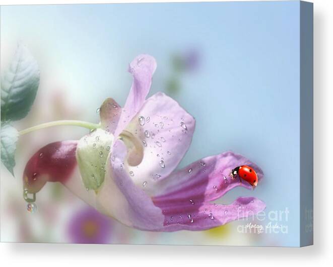 Ladybug Canvas Print featuring the photograph Lady Bug on Flower by Morag Bates