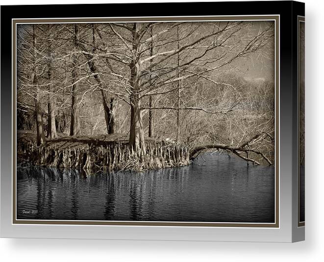 Lake Canvas Print featuring the photograph Lake Alice by Farol Tomson
