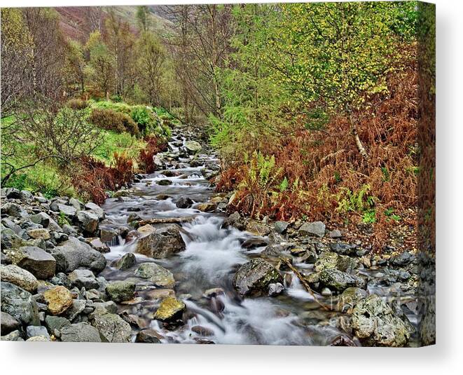 English Lakes Canvas Print featuring the photograph Lake District Autumn Stream by Martyn Arnold