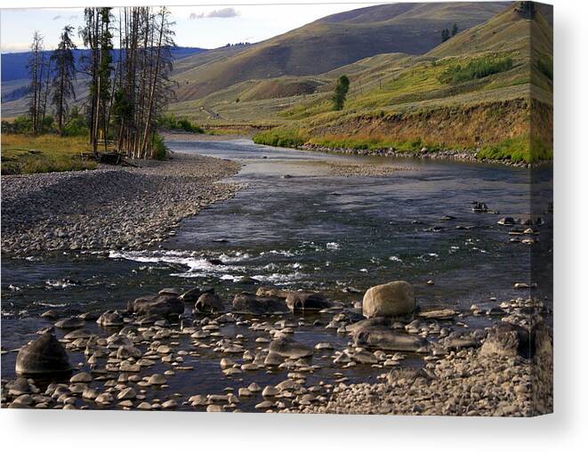 Yellowstone National Park Canvas Print featuring the photograph Lamar Valley 3 by Marty Koch