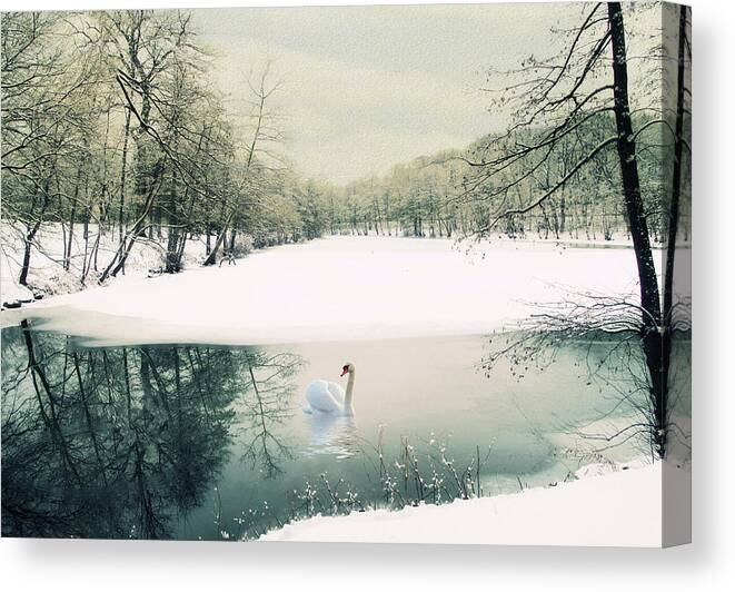 Winter Canvas Print featuring the photograph Le Reve by Jessica Jenney