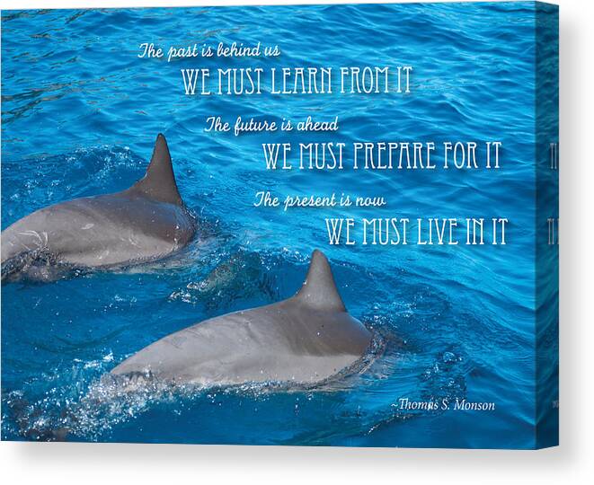 Dolphins Canvas Print featuring the photograph Learn Prepare Live by Denise Bird