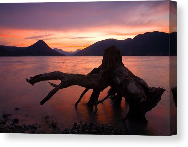 Stump Canvas Print featuring the photograph Left Behind by Michael Dawson