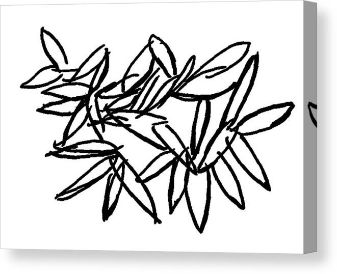 Leaves Canvas Print featuring the drawing Leipzig Leaves by Dick Sauer