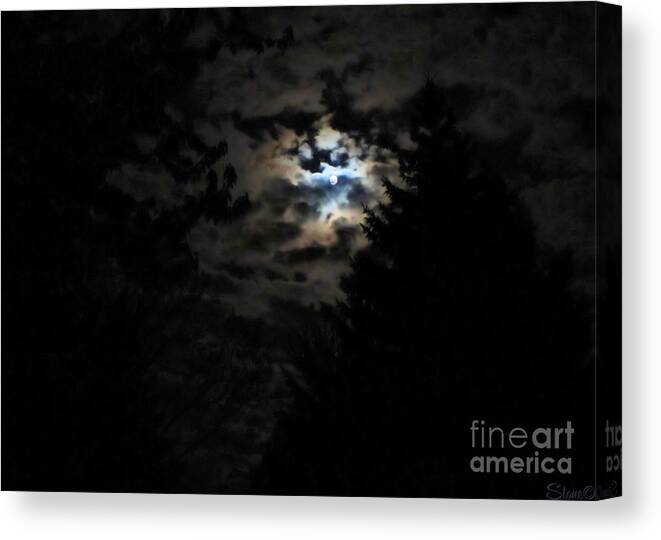 Lunar Canvas Print featuring the photograph Lisas Wildlife Moons by September Stone