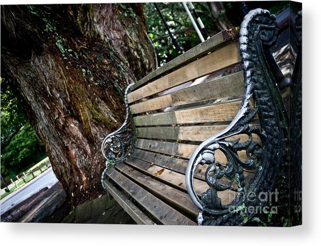Bench Canvas Print featuring the photograph Lone bench in the park by Yurix Sardinelly