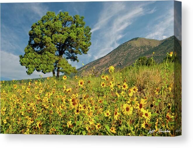 Arizona Canvas Print featuring the photograph Lone Tree in a Sunflower Field by Jeff Goulden