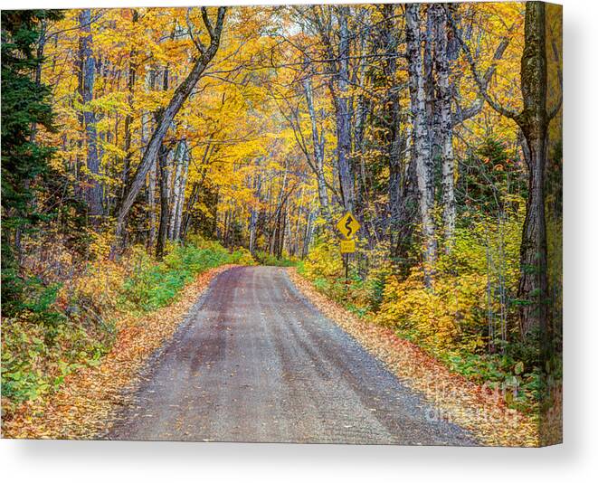 Autumn Canvas Print featuring the photograph Long and Winding Autumn Roads North Shore Minnesota by Wayne Moran