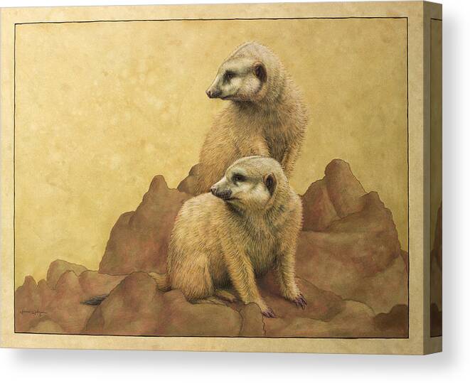 Meerkats Canvas Print featuring the painting Lookouts by James W Johnson