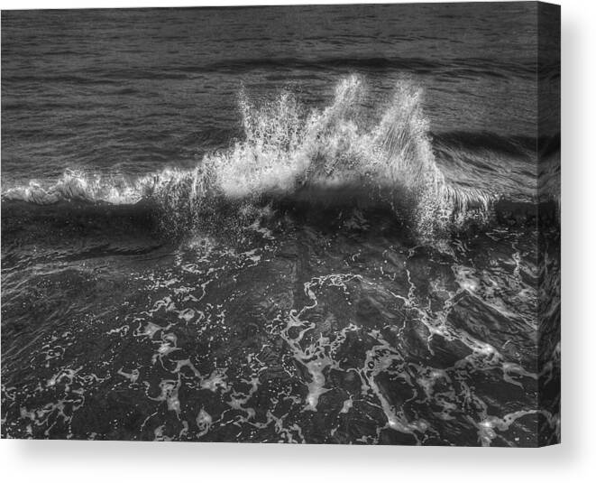 Water Canvas Print featuring the photograph Make a Splash by Evelina Kremsdorf