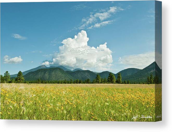 Arizona Canvas Print featuring the photograph Meadow of Sunflowers and the San Francisco Peaks by Jeff Goulden