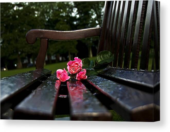 Bench Canvas Print featuring the photograph Memmory... by Svetlana Sewell