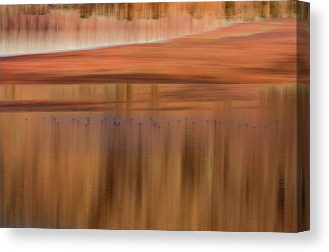 Ducks Canvas Print featuring the photograph Mergansers Make A Move by Deborah Hughes