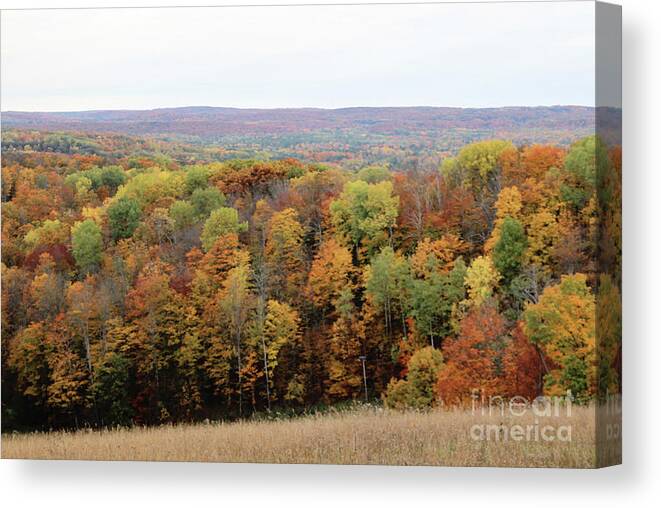Michigan Canvas Print featuring the photograph Michigan Autumn by Laura Kinker