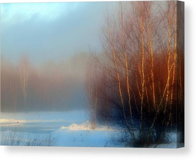 Mist Of The Morning Canvas Print featuring the photograph Mist of the Morning by Karen Cook