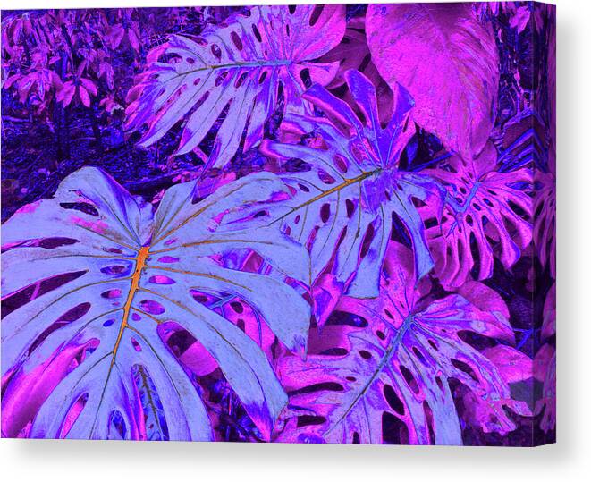 Monstera Leaves Canvas Print featuring the digital art Monstera Leaves - in violets by Kerri Ligatich