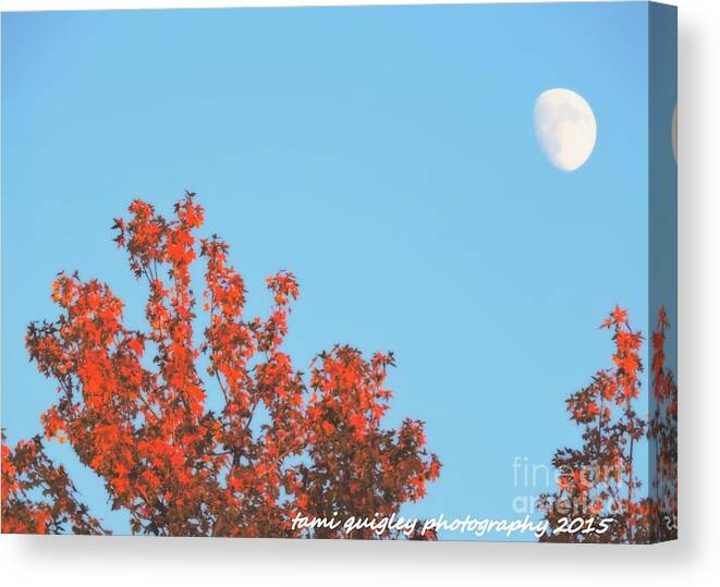 Autumn Canvas Print featuring the photograph Moon Over October by Tami Quigley