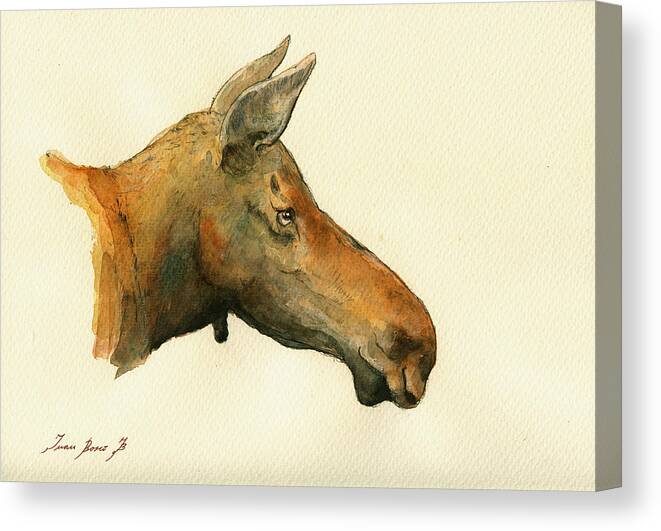 Moose Canvas Print featuring the painting Moose watercolor painting. by Juan Bosco