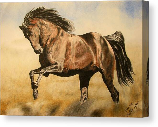 Horse Canvas Print featuring the drawing Morning game by Melita Safran